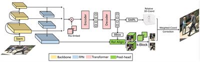 Single-view multi-human pose estimation by attentive cross-dimension matching